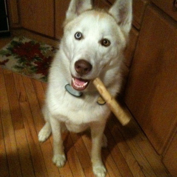 Meet your Posher, Stephanie - Picture 8 of 8